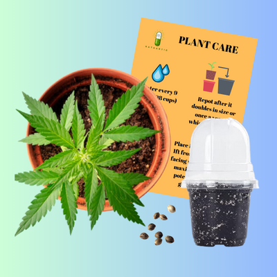 Hemp Cultivation Starter Packages & Memberships